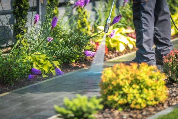 Best Boat and Dock Cleaning  in Lake Forest, IL